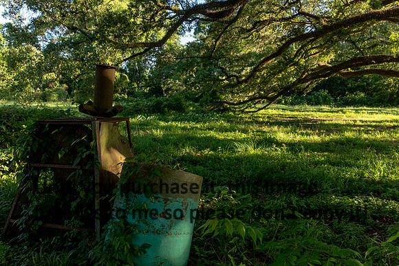 moncus-park_06-11-20_kellysheadshots.com-6645