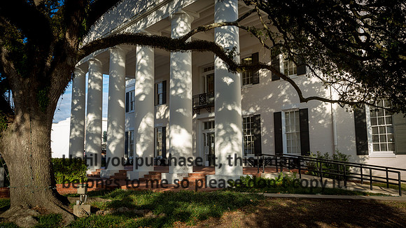vermilion-parish_courthouse_abbeville-louisiana_kelly-morvant-photography_11-19-14-9423