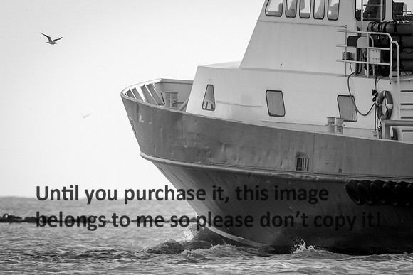 wateree_crew-boat_b&w_cameron_louisiana_kelly-morvant-photography_10-23-14-6685