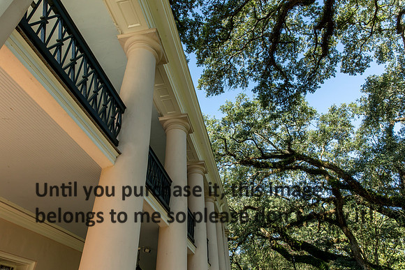 oak-alley_columns_columns_oak_trees_07-08-17_kelly-morvant-photography-7912