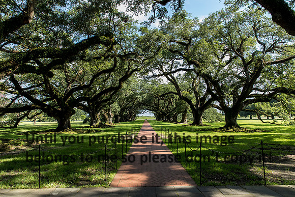oak-alley_oak_alley_ground-level_07-08-17_kelly-morvant-photography-7919