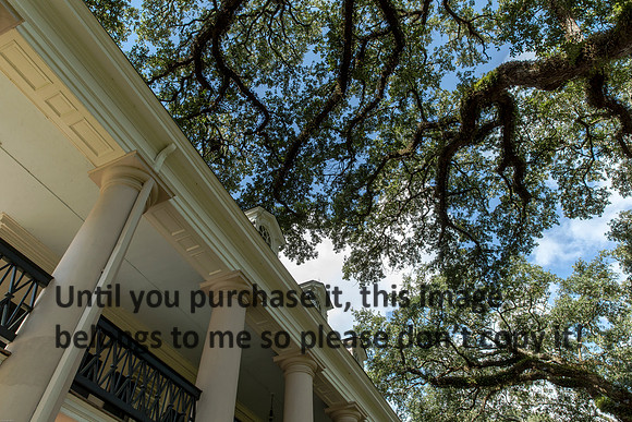 oak-alley_porch_tree_sky_07-08-17_kelly-morvant-photography-7934