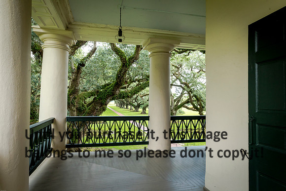oak-alley_live-oaks_07-08-17_kelly-morvant-photography-7957