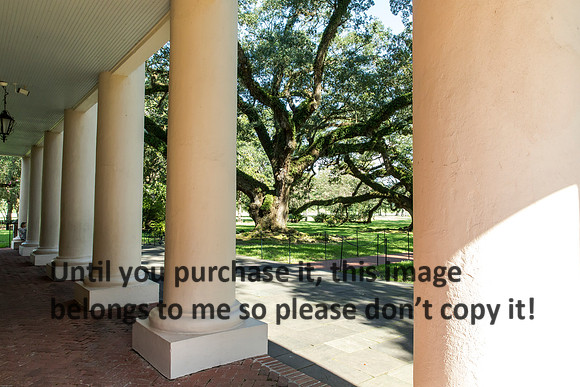 oak-alley_columns_porch_tree_07-08-17_kelly-morvant-photography-7910