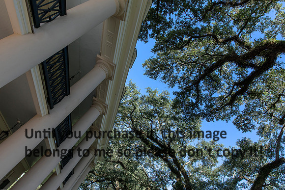 oak-alley_columns_oak-trees_07-08-17_kelly-morvant-photography-7916