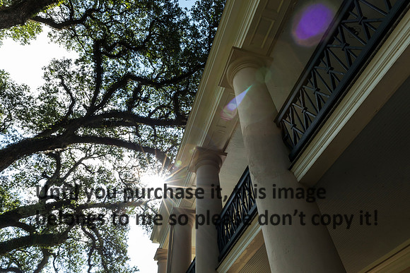 oak-alley_oak_porch_sun-flare_07-08-17_kelly-morvant-photography-7921