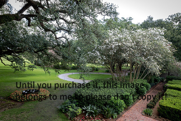 oak-alley_gardens_07-08-17_kelly-morvant-photography-7965