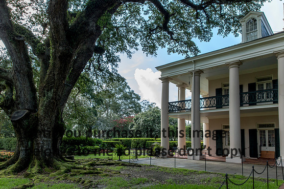 oak-alley_oak_porch_07-08-17_kelly-morvant-photography-7929
