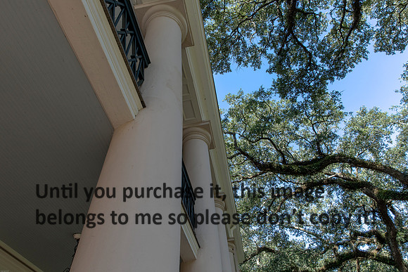 oak-alley_columns_oak-trees_07-08-17_kelly-morvant-photography-7918