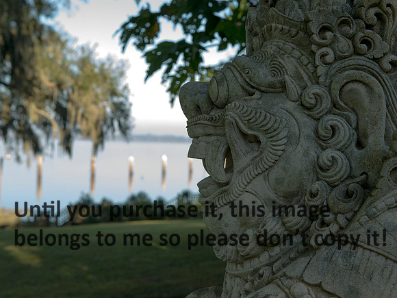 OrientalStatueLakePigneur_JeffersonIsland-9670