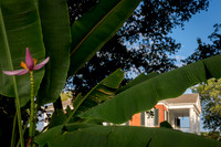 rosalie_natchez-ms_2015_kelly-morvant-photography--9315