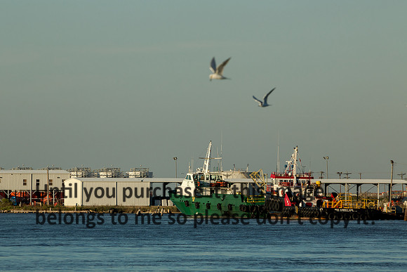 cameron-louisiana_kelly-morvant-photography_11-09-14-8731