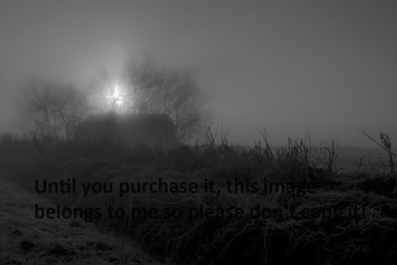 SunriseLaFarm-Winter- KaplanBW-9998