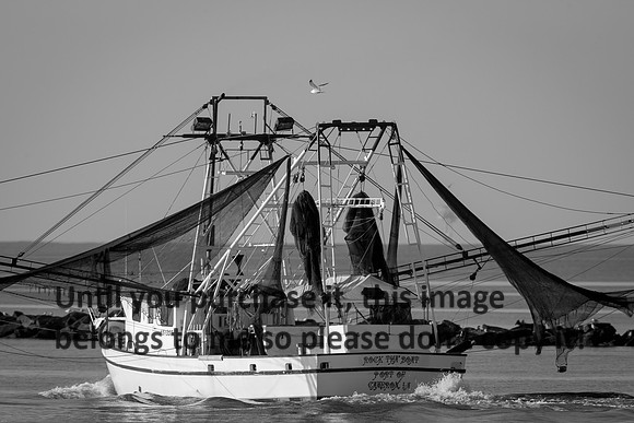 Rock Tha Boat- Shimp Boat - B&W-Water- Cameron LA-2611