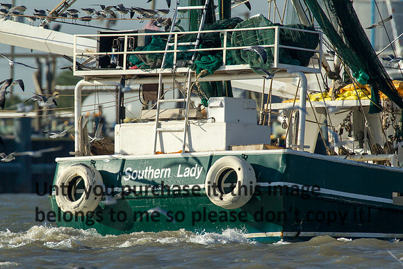 southern-lady_shrimp-boat_cameron-louisiana_kelly-morvant-photography_10-23-14-6601