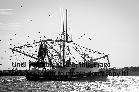 southern-lady_shrimp-boat_b&w_cameron_louisiana_kelly-morvant-photography_10-23-14-8389