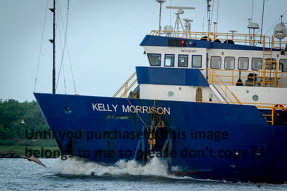 Kelly Morrison_Ship_Kelly Morvant_Cameron_06-29-14-2001