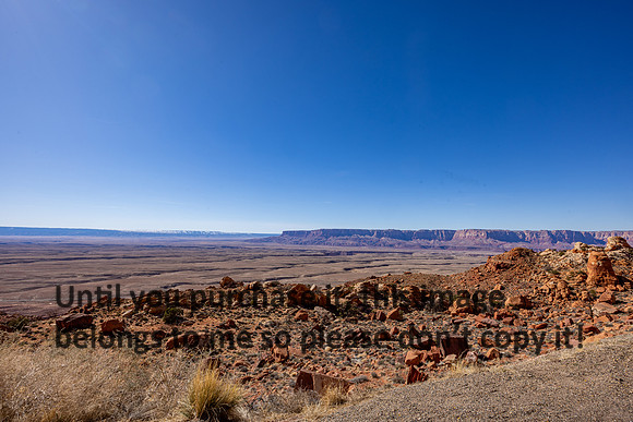 desert_sedona-az_kellysheadshots.com_03-19-25-21290