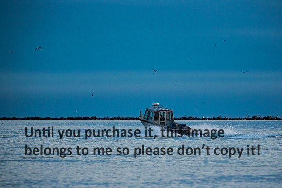 fisherman-boat_cameron-la_2015_kelly-morvant-photog-1069