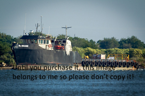 ms-roxanne_cameron-louisiana_kelly-morvant-photography_10-19-14-6398