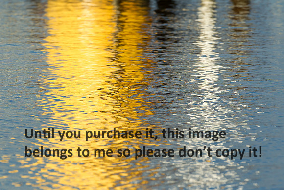 Water Reflections_Cameron LA-9700
