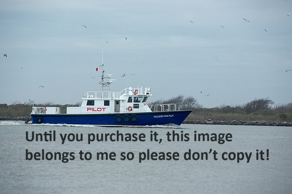 cameron-pass-pilot_cameron-la_2015_kelly-morvant-photog-3872
