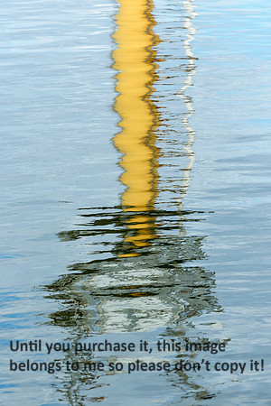 Water Reflections_Cameron LA-0118