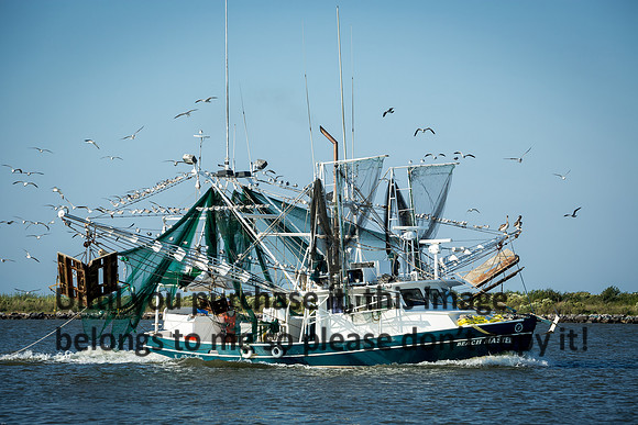 beach-master_shrimp-boat_cameron-louisiana_kelly-morvant-photography_10-19-14-8310