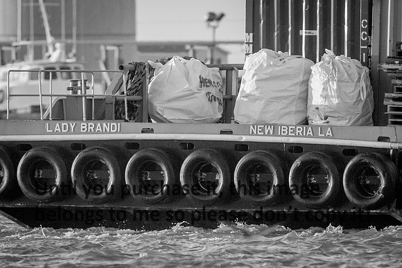 lady-brandi_b&w_cameron_louisiana_kelly-morvant-photography_10-23-14-7091