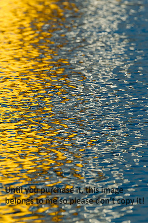 Water Reflections_Cameron LA-9703