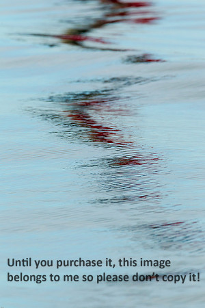 Water Reflections_Red_Cameron LA-9816