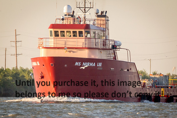 ms-norma-lee_offshore-supply-vessel_cameron_louisiana_kelly-morvant-photography_10-23-14-6868