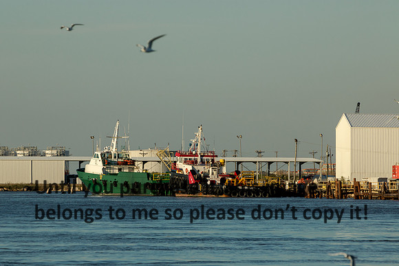 cameron-louisiana_kelly-morvant-photography_11-09-14-8732