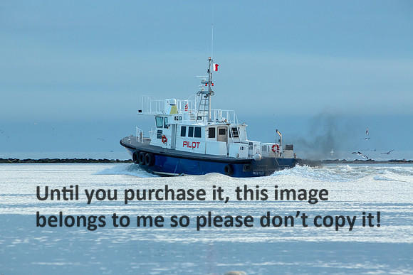 calcasieu-pass-pilot-boat_cameron-la_2015_kelly-morvant-photog-1039