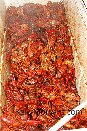 FDF-CrawfishBoil_05-05-12-2078