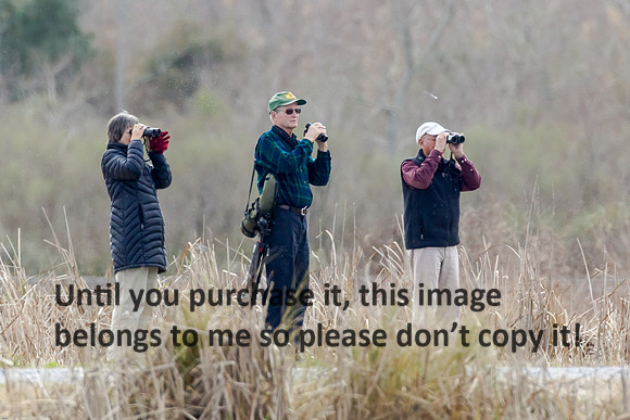 bird watchers_cameron-la_2015_kelly-morvant-photog-1926