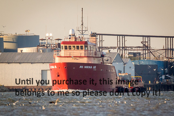 ms-norma-lee_offshore-supply-vessel_cameron_louisiana_kelly-morvant-photography_10-23-14-6844