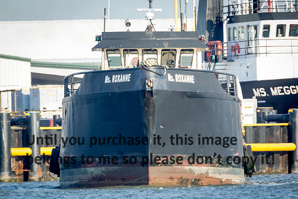ms-roxanne_cameron-louisiana_kelly-morvant-photography_10-19-14-6430