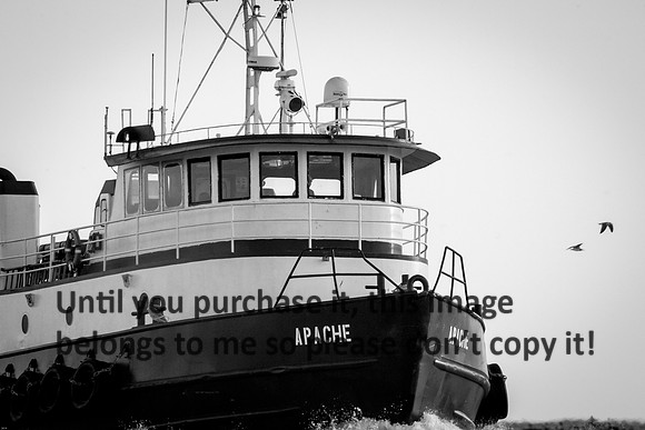 apache_crewboat_b&w_cameron_louisiana_kelly-morvant-photography_10-23-14-6776
