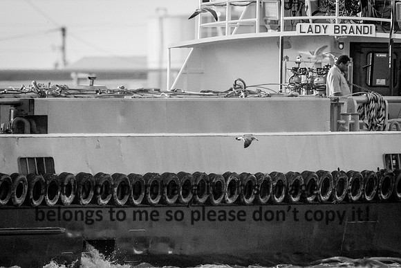 lady-brandi_b&w_cameron_louisiana_kelly-morvant-photography_10-23-14-7083