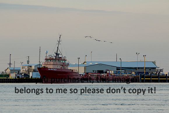 ms-whitney-rig-supply-boat_cameron-la_2015_kelly-morvant-photog-1024