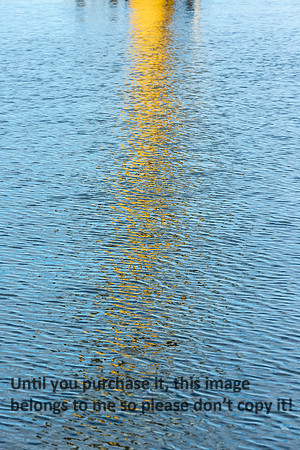 Water Reflections_Cameron LA-0131