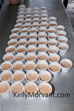 FDF-CrawfishBoil_05-05-12-2061