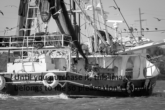 southern-lady_shrimp-boat_cameron_b&w_louisiana_kelly-morvant-photography_10-23-14-6620