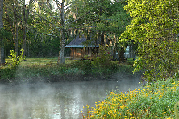 Camp Cajun Flowers Fog Early Morning Light - Things_2090