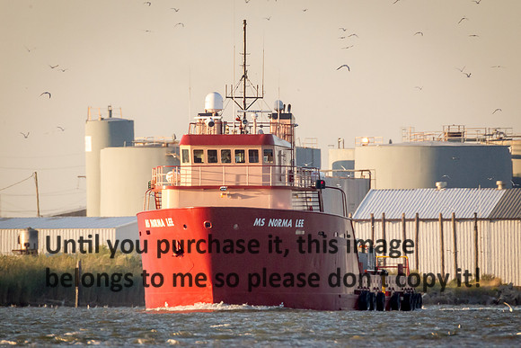ms-norma-lee_offshore-supply-vessel_cameron_louisiana_kelly-morvant-photography_10-23-14-6855