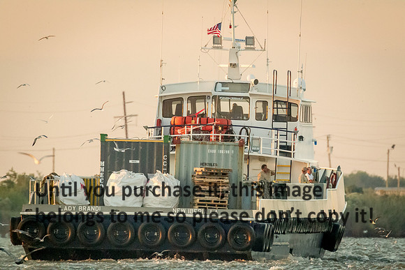 lady-brandi_cameron_louisiana_kelly-morvant-photography_10-23-14-7098