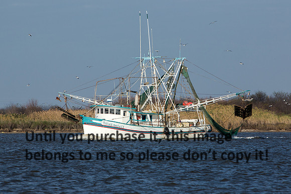 shrimpboat_nanas-angels_cameron-louisiana_kelly-morvant-photography_12-31-14-0001