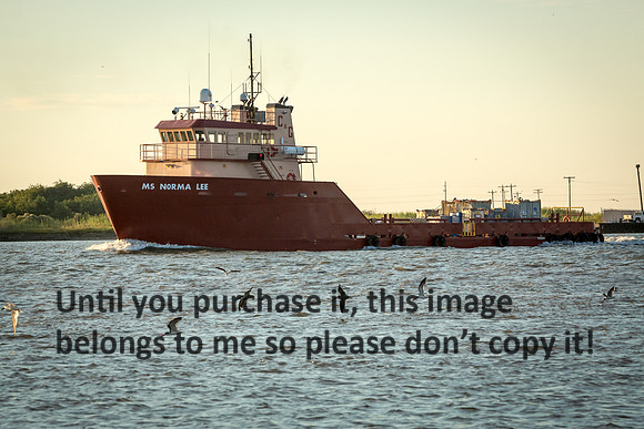 ms-norma-lee_offshore-supply-vessel_cameron_louisiana_kelly-morvant-photography_10-23-14-8451