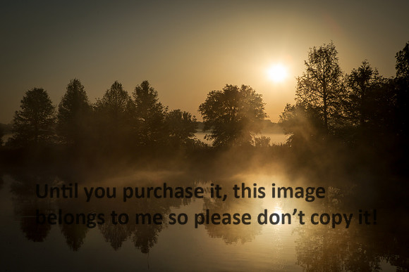 Pond Sunrise Fog Reflections_Jefferson Island La-05-03-14-9392
